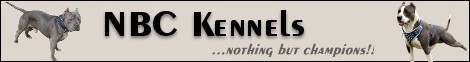 NBC Kennels Banner